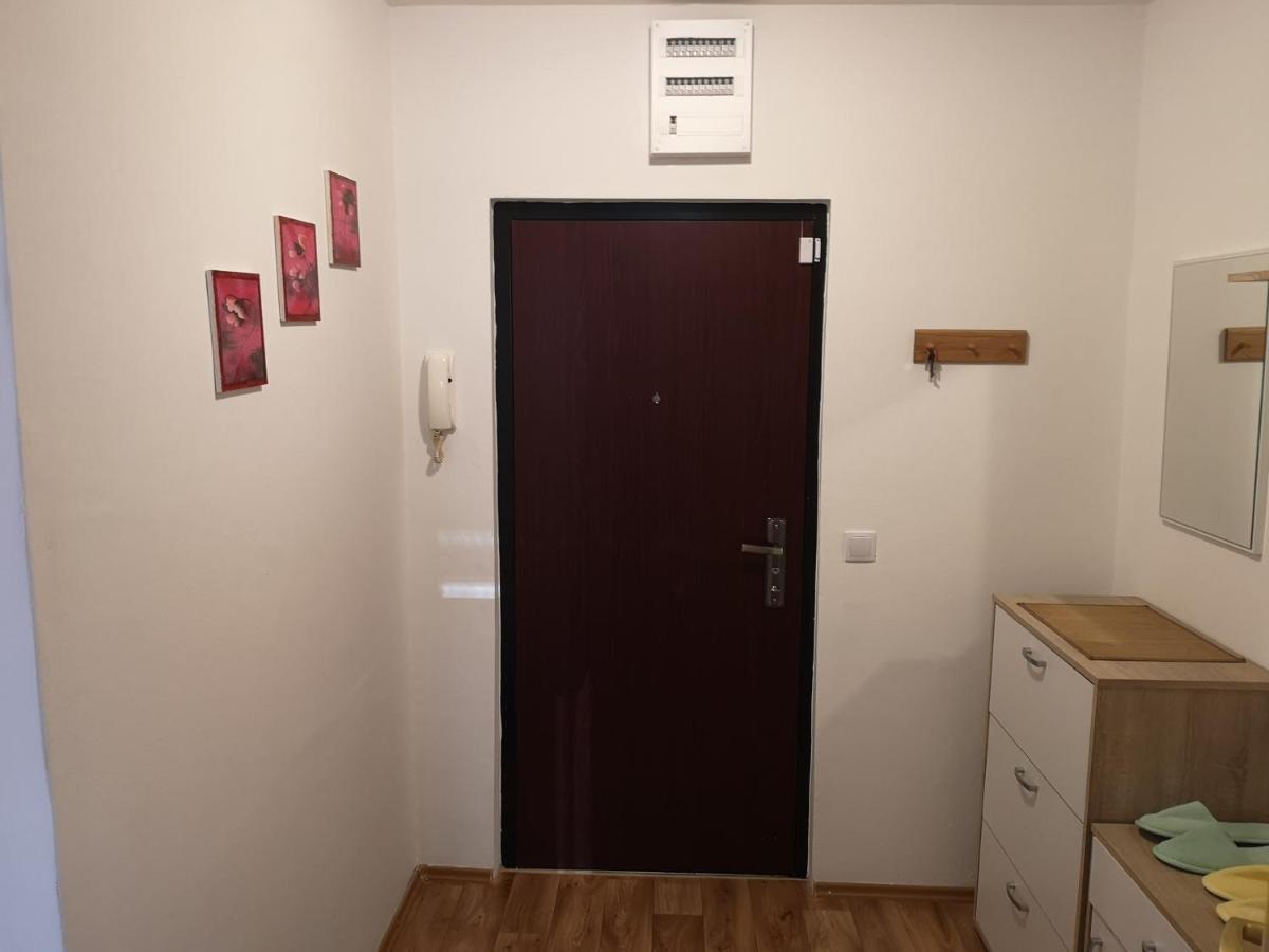 Family Apartment